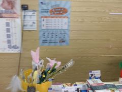 -天宠宠物医院24小时·急重症诊疗中心·全科·腔镜特色(和平分院)