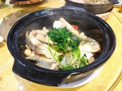 -阿四台山黄鳝饭(东门店)