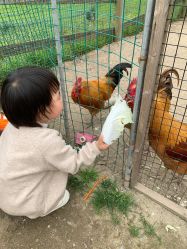 -前小桔亲子创意农场·草莓采摘·露营烧烤