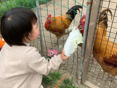 -前小桔亲子创意农场·草莓采摘·露营烧烤