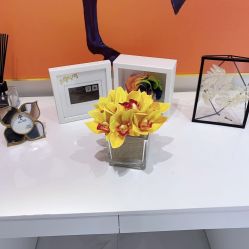 -MIVI野生眉纹绣纹眉