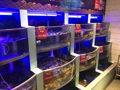 水产区-七欣天香辣蟹火锅(南京建宁路大观天地店)