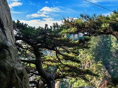 -泰山风景名胜区