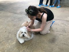 -TrueLove @ Neverland (Husky Cafe)