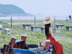 -东海半边山旅游度假区
