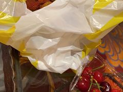 -BLACKSWAN黑天鹅(环球店)