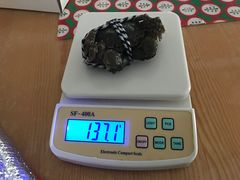 -喜洋洋蟹庄(阳澄湖店)