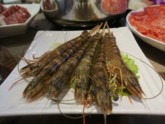 活虾-金海阁海鲜火锅
