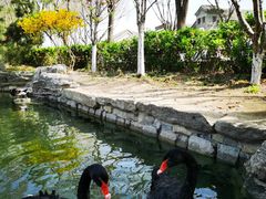 -三里河公园