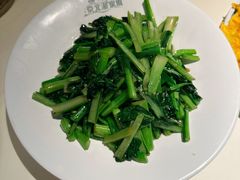 -京北渔家傲