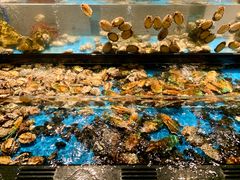 水产区-Mr·Fish鱼鲜生海鲜放题(银泰in99店)