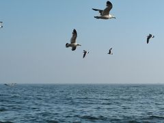 -银沙滩浴场