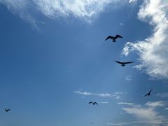 -海驴岛(荣成市)