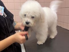-FAELING PETS美天灵宠物(富力广场店)