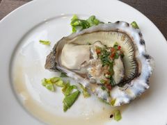 -大中华希尔顿酒店 念 全日制自助餐厅·亲子·聚餐