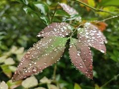 -袁记串串香(墨河南岸店)