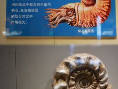 -安徽省地质博物馆