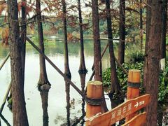 -重庆彩云湖湿地公园