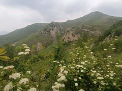 -灵山