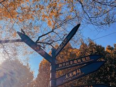 -天津五大道文化旅游区