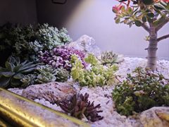 -街角等你.大连海鲜烧烤.经典铁板海鲜串(西安路店)