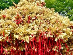 -狼山风景名胜区