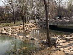 -郑州植物园