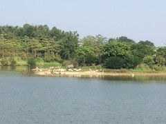 -田野绿世界