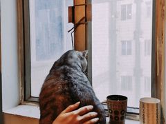 -H立方实景剧情密室(天河旗舰店)