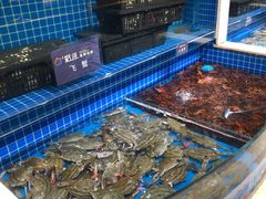 -乔哥铭洋海鲜自助(皇城恒隆广场店)