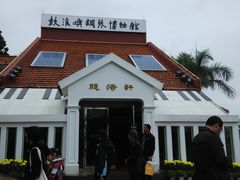 -鼓浪屿钢琴博物馆