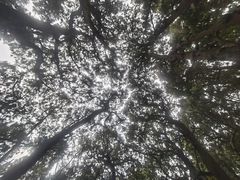 -七曲山风景区