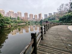 -龙头寺公园