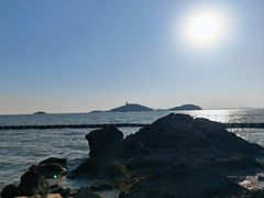 -上海市保健医疗中心