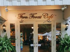 -Fern Forest Cafe