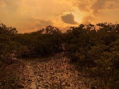 -北海金海湾红树林生态旅游区