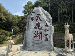 -天鹿湖森林公园