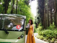 -山王坪喀斯特国家生态公园