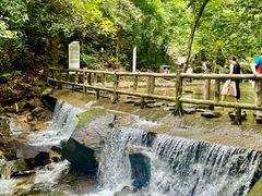 -鼎湖山风景区