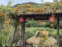 -广东天露山旅游度假区