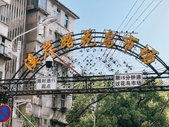 -溪岸路花鸟市场