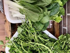 -麻奢鸽农庄·梦里水乡