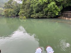 -深圳国际园林花卉博览园