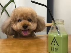 -About Bistro關於·泰式家庭料理