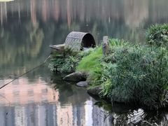 -重庆彩云湖湿地公园