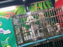 -美联众合动物医院(唯恩分院)