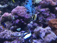 -成都浩海立方海洋公园