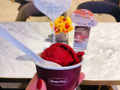 -哈根达斯(龙湖时代天街店)