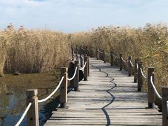 -农垦当壁镇兴凯湖旅游度假区