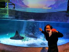 -沈阳海洋探索中心